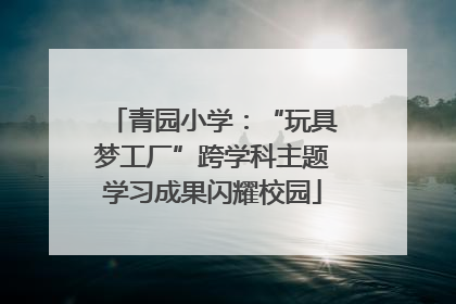 青园小学：“玩具梦工厂”跨学科主题学习成果闪耀校园