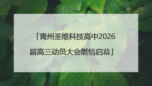 青州圣维科技高中2026届高三动员大会燃情启幕
