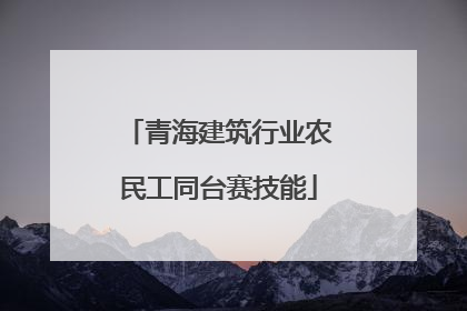 青海建筑行业农民工同台赛技能