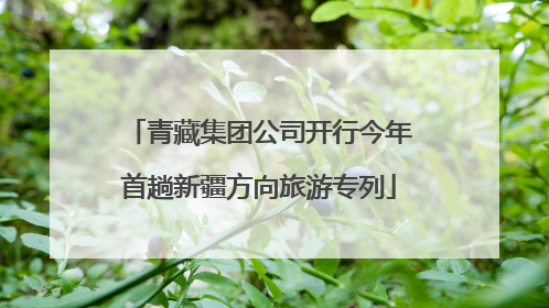 青藏集团公司开行今年首趟新疆方向旅游专列