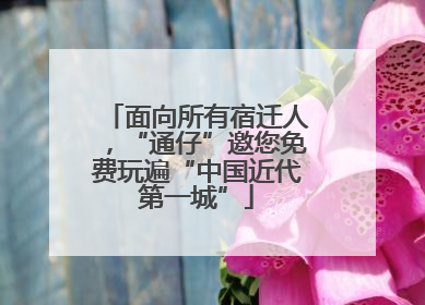 面向所有宿迁人，“通仔”邀您免费玩遍“中国近代第一城”