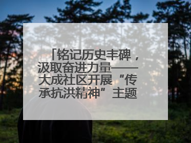 铭记历史丰碑，汲取奋进力量——大成社区开展“传承抗洪精神”主题党日活动
