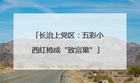 长治上党区：五彩小西红柿成“致富果”