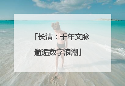 长清：千年文脉邂逅数字浪潮