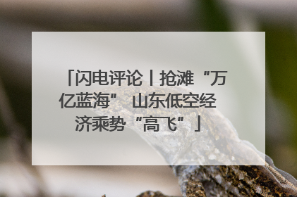 闪电评论丨抢滩“万亿蓝海” 山东低空经济乘势“高飞”