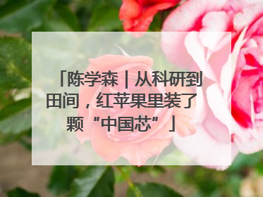 陈学森｜从科研到田间，红苹果里装了颗“中国芯”