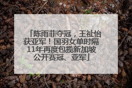 陈雨菲夺冠，王祉怡获亚军！国羽女单时隔11年再度包揽新加坡公开赛冠、亚军