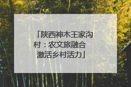 陕西神木王家沟村：农文旅融合 激活乡村活力