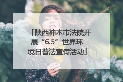 陕西神木市法院开展“6.5”世界环境日普法宣传活动