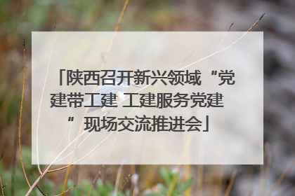陕西召开新兴领域“党建带工建 工建服务党建”现场交流推进会