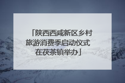 陕西西咸新区乡村旅游消费季启动仪式在茯茶镇举办