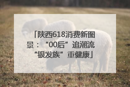 陕西618消费新图景：“00后”追潮流 “银发族”重健康