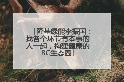 隆基绿能李振国：找各个环节有本事的人一起，构建健康的BC生态圈