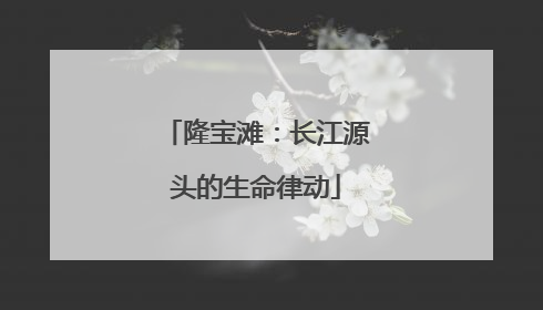 隆宝滩：长江源头的生命律动