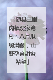 随县三里岗镇贾家湾村：八月瓜缀满藤，山野孕育甜蜜希望