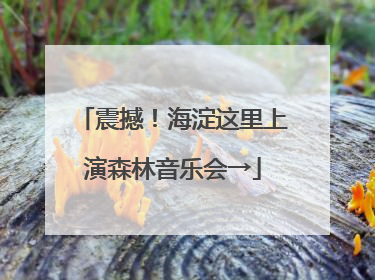 震撼！海淀这里上演森林音乐会→