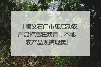 顺义石门市集启动农产品特惠狂欢月，本地农产品现摘现卖