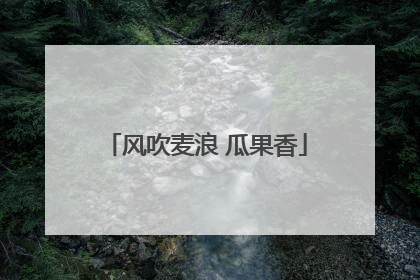 风吹麦浪 瓜果香