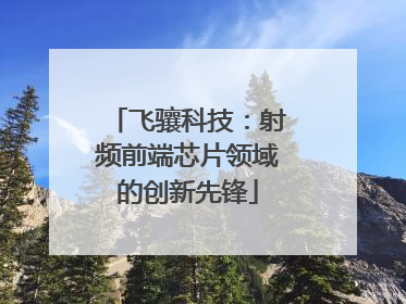 飞骧科技：射频前端芯片领域的创新先锋