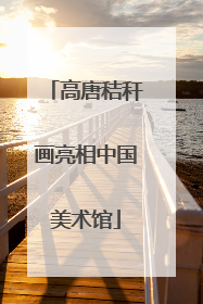 高唐秸秆画亮相中国美术馆