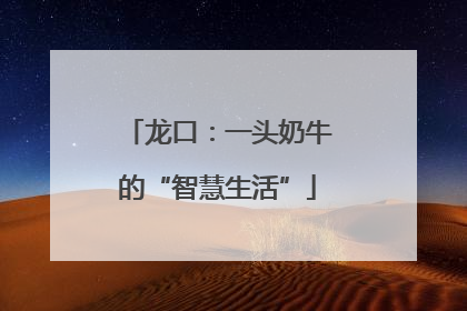 龙口：一头奶牛的“智慧生活”