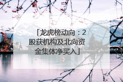 龙虎榜动向：2股获机构及北向资金集体净买入