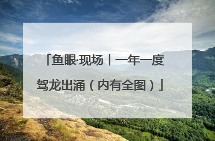鱼眼·现场丨一年一度 驾龙出涌（内有全图）