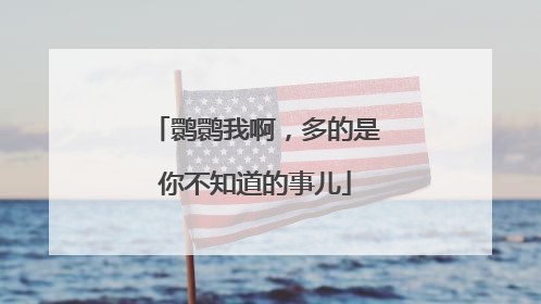 鹮鹮我啊，多的是你不知道的事儿