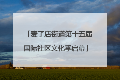 麦子店街道第十五届国际社区文化季启幕