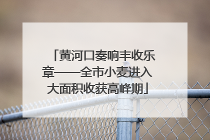 黄河口奏响丰收乐章——全市小麦进入大面积收获高峰期