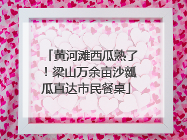 黄河滩西瓜熟了！梁山万余亩沙瓤瓜直达市民餐桌