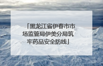 黑龙江省伊春市市场监管局伊美分局筑牢药品安全防线