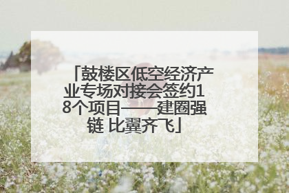 鼓楼区低空经济产业专场对接会签约18个项目——建圈强链 比翼齐飞