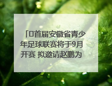 ﻿首届安徽省青少年足球联赛将于9月开赛 拟邀请赵鹏为先导赛开球