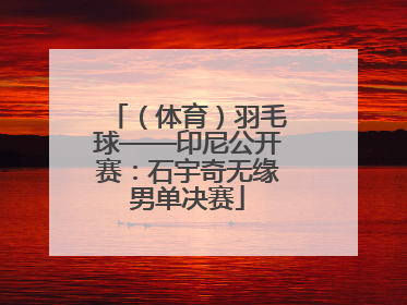 （体育）羽毛球——印尼公开赛：石宇奇无缘男单决赛