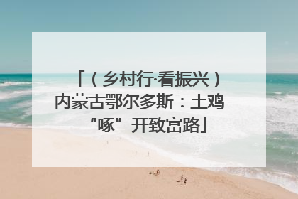 （乡村行·看振兴）内蒙古鄂尔多斯：土鸡“啄”开致富路