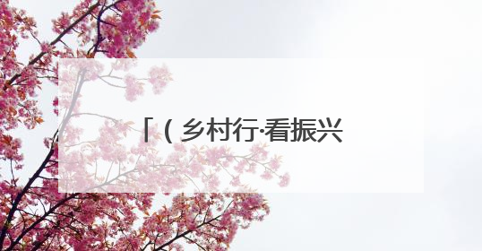 （乡村行·看振兴）山西寿阳：彩椒种出“多彩”致富路