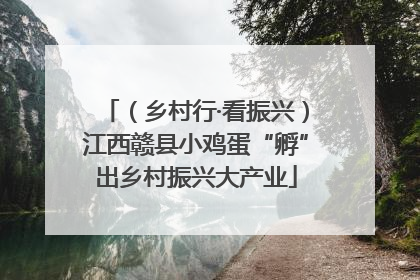 （乡村行·看振兴）江西赣县小鸡蛋“孵”出乡村振兴大产业