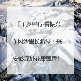 （乡村行·看振兴）风沙里长新绿：兴安岭深处花果飘香