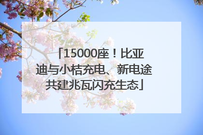 15000座！比亚迪与小桔充电、新电途共建兆瓦闪充生态