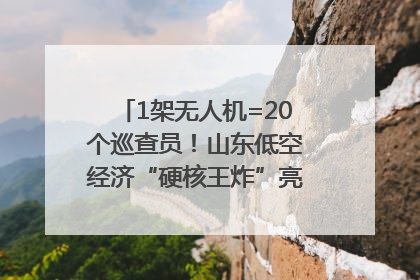 1架无人机=20个巡查员！山东低空经济“硬核王炸”亮相青岛，下一个万亿赛道藏在这里