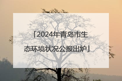 2024年青岛市生态环境状况公报出炉