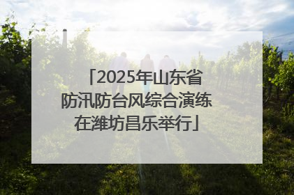 2025年山东省防汛防台风综合演练在潍坊昌乐举行