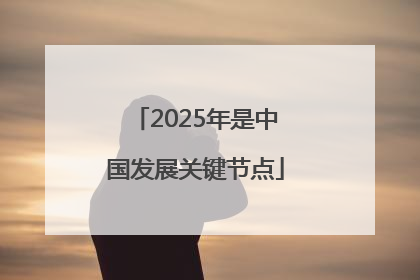 2025年是中国发展关键节点