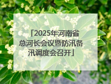 2025年河南省总河长会议暨防汛备汛调度会召开
