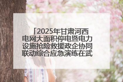 2025年甘肃河西电网大面积停电暨电力设施抢险救援政企协同联动综合应急演练在武威成功举行