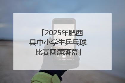 2025年肥西县中小学生乒乓球比赛圆满落幕
