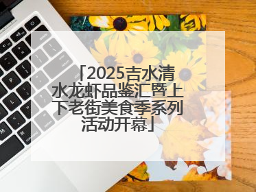 2025吉水清水龙虾品鉴汇暨上下老街美食季系列活动开幕