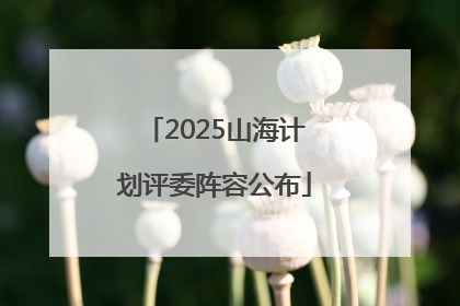 2025山海计划评委阵容公布