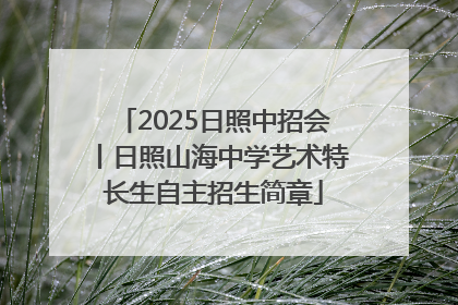 2025日照中招会丨日照山海中学艺术特长生自主招生简章